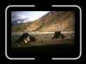 36. Tibetan Nomads - Naktangchu - Kuto * 5339 x 3568 * (639KB)